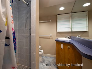 1 Bedroom apartment for rent in Kingston