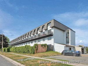 2 Bedroom apartment for rent in Kingston