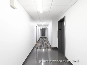 2 Bedroom apartment for rent in Kingston