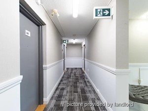 2 Bedroom apartment for rent in Kingston