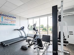 2 Bedroom apartment for rent in Kingston