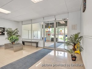 1 Bedroom apartment for rent in Kingston