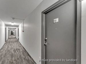 1 Bedroom apartment for rent in Kingston