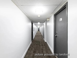 1 Bedroom apartment for rent in Kingston