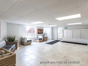 1 Bedroom apartment for rent in Kingston