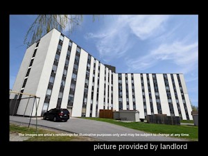 1 Bedroom apartment for rent in Kingston