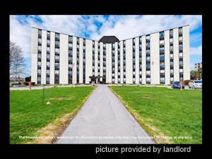 1 Bedroom apartment for rent in Kingston