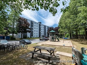 2 Bedroom apartment for rent in Kingston