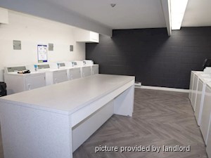 1 Bedroom apartment for rent in Kingston