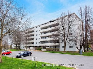 3+ Bedroom apartment for rent in Kingston