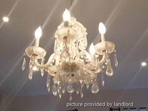 1 Bedroom apartment for rent in HAMILTON