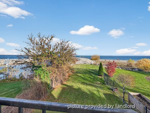 3+ Bedroom apartment for rent in HAMILTON