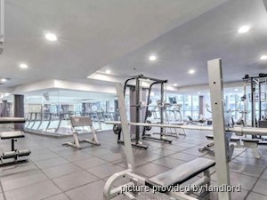 1 Bedroom apartment for rent in TORONTO