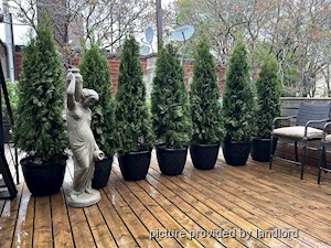 1 Bedroom apartment for rent in TORONTO