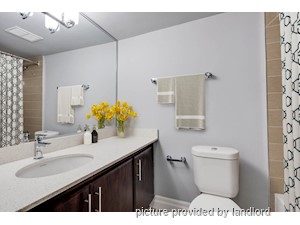 Bachelor apartment for rent in Etobicoke