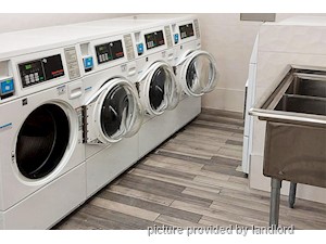 Bachelor apartment for rent in Etobicoke