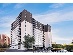 Bachelor apartment for rent in Etobicoke