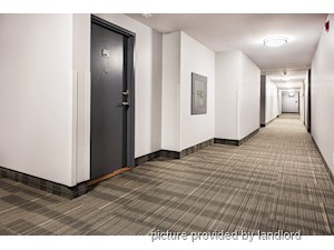 3+ Bedroom apartment for rent in Scarborough