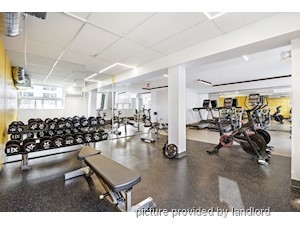 3+ Bedroom apartment for rent in Scarborough