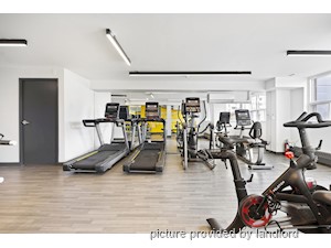 3+ Bedroom apartment for rent in Scarborough