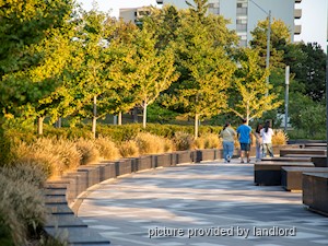 1 Bedroom apartment for rent in Ajax