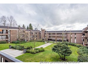 2 Bedroom apartment for rent in New Westminster
