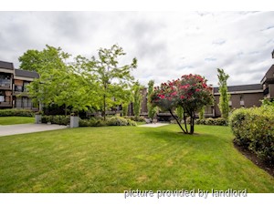 2 Bedroom apartment for rent in New Westminster