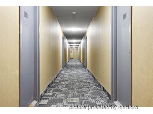 1 Bedroom apartment for rent in Brampton