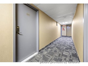 1 Bedroom apartment for rent in Brampton