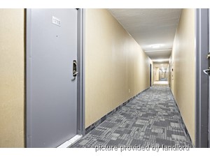 2 Bedroom apartment for rent in Brampton