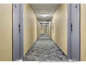 1 Bedroom apartment for rent in Brampton