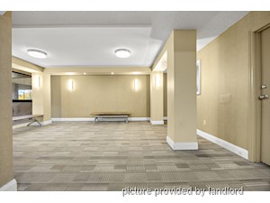 1 Bedroom apartment for rent in Brampton