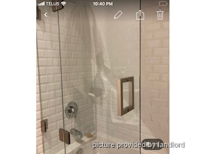 1 Bedroom apartment for rent in TORONTO