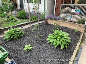 2 Bedroom apartment for rent in TORONTO