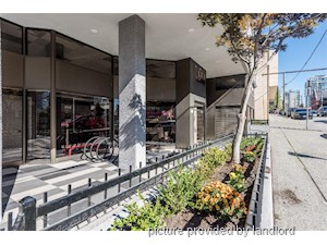 1 Bedroom apartment for rent in New Westminster