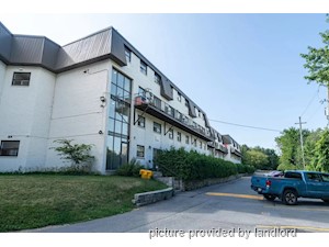 3+ Bedroom apartment for rent in Kingston