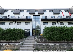 3+ Bedroom apartment for rent in Kingston