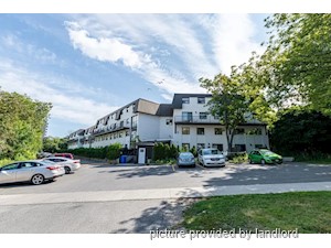 3+ Bedroom apartment for rent in Kingston