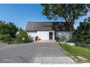 3+ Bedroom apartment for rent in Kingston