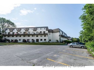 3+ Bedroom apartment for rent in Kingston