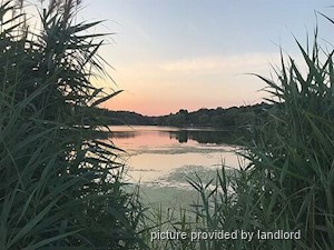 Bachelor apartment for rent in TORONTO