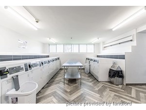 3+ Bedroom apartment for rent in Scarborough