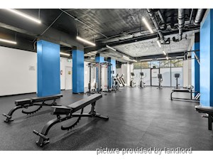 3+ Bedroom apartment for rent in Toronto