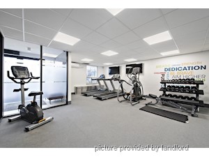 Bachelor apartment for rent in Scarborough