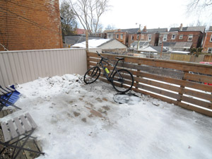 1 Bedroom apartment for rent in TORONTO