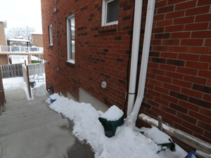 1 Bedroom apartment for rent in BRAMPTON