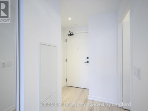 Image ViT 244452