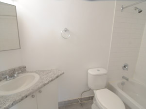 3+ Bedroom apartment for rent in ETOBICOKE 