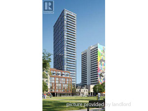 Image ViT 244482