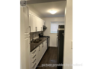 Image ViT 244540